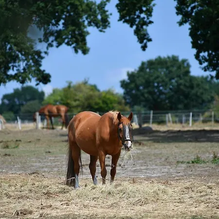 Apartment Haus Seewind Hs01