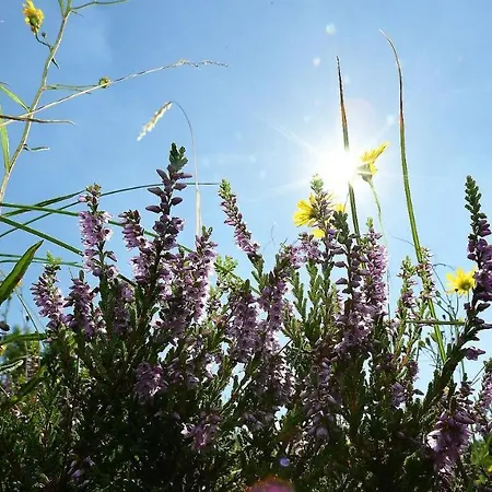 Apartament Haus Seewind Hs01 Cuxhaven