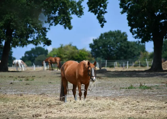 Lejlighed Haus Seewind Hs01