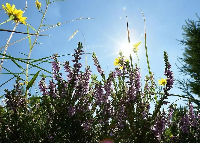 Lejlighed Haus Seewind Hs01 Cuxhaven